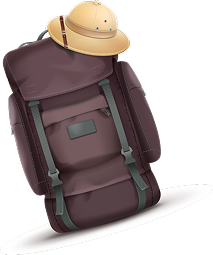 Travel Bag - S.P. Travels India