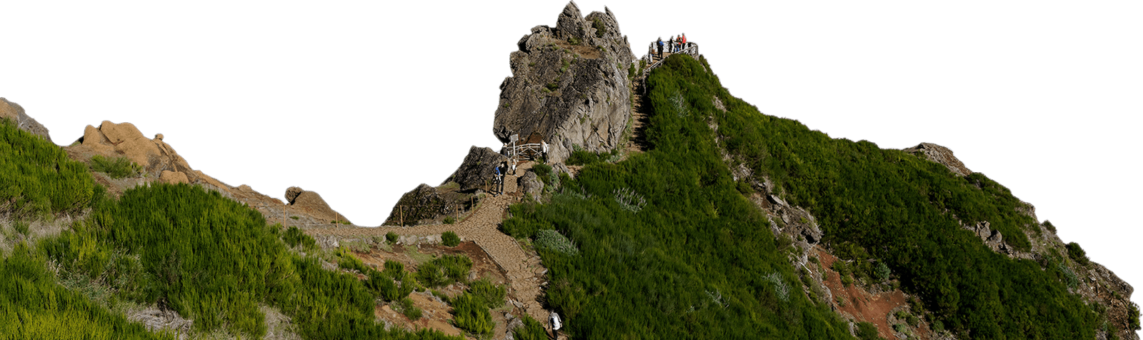 Luxury Car Hire in Delhi - S.P. Travels India